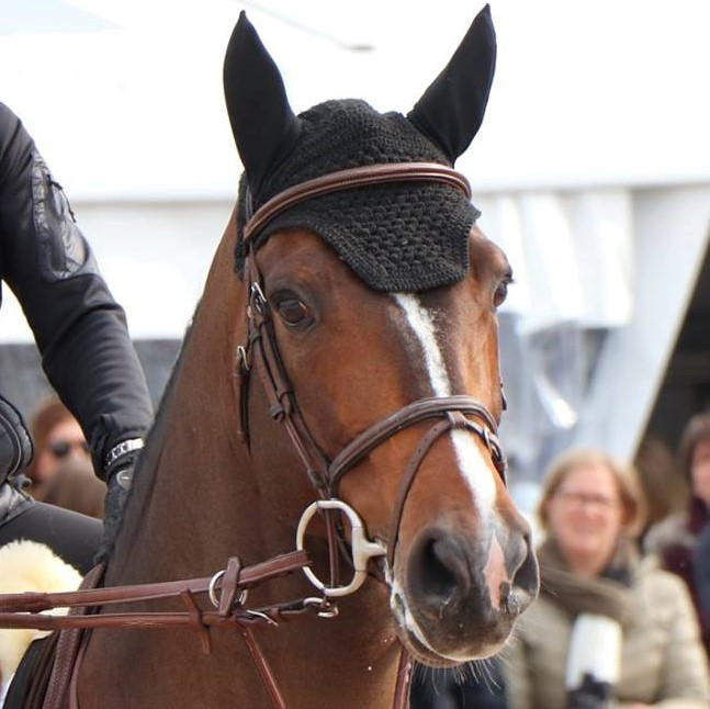 Luigi D'Eclipse Image