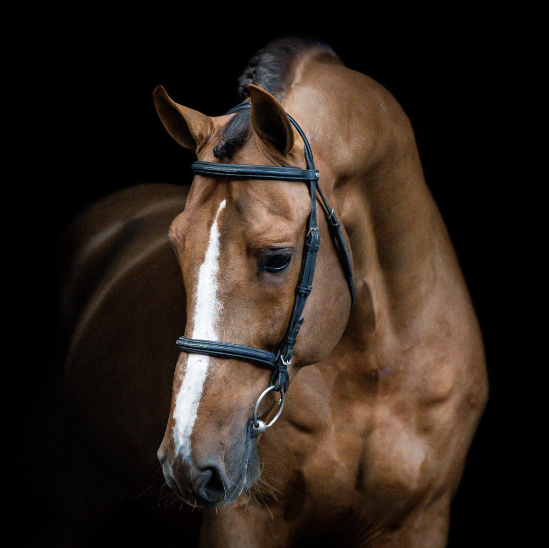 Kassander Van't Roosakker Image