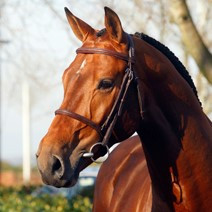 Lord of Farming Image